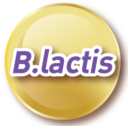 b.lactis