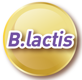 b.lactis