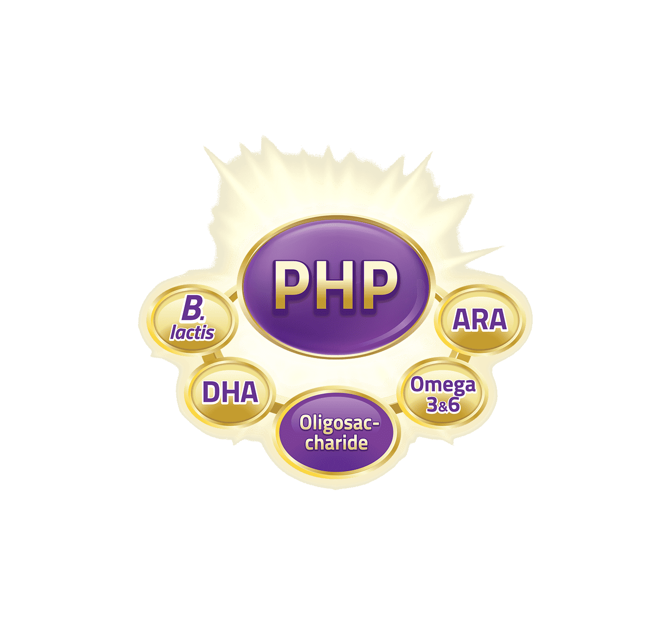 s26_ha3_section3_php