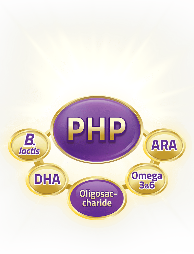 s26_ha3_section3_php_mb