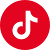 TikTok icon