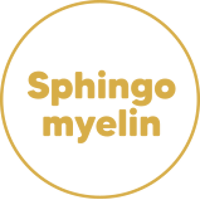 Sphingomyelin-gold